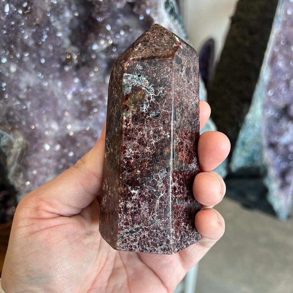 Garnet Tower D