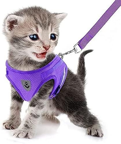 Dog Harness & Leash Set Walking Soft Mesh Adjustable Easy Control Lightweight