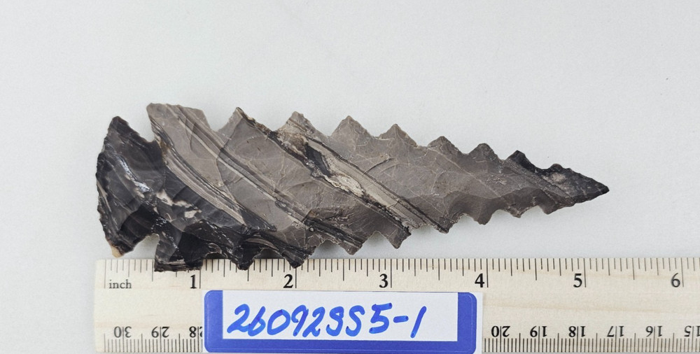 5" Serrated Spearhead - Lance Head - Drill Point - Knife - Hand Knapped Agate
