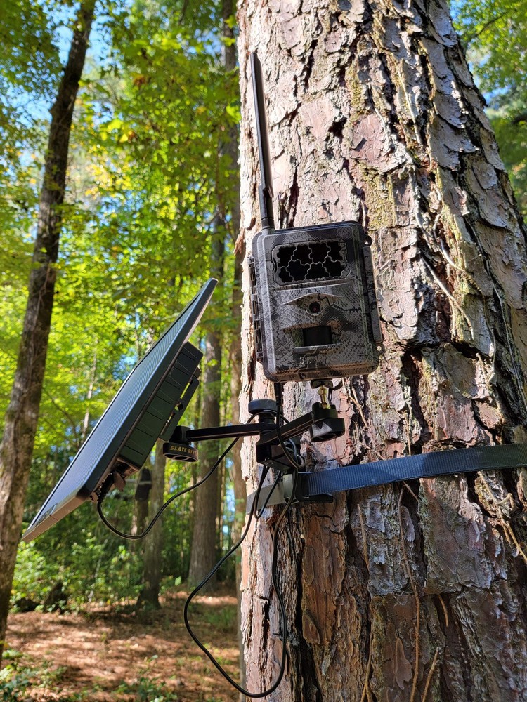 Dual Arm Trail Camera Mount Ratchet Strap