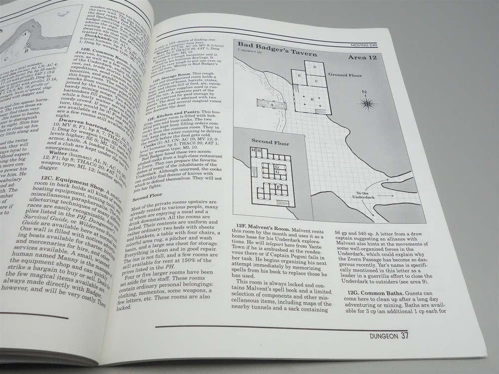 Dungeon Magazine: Issue # 43 (TSR)