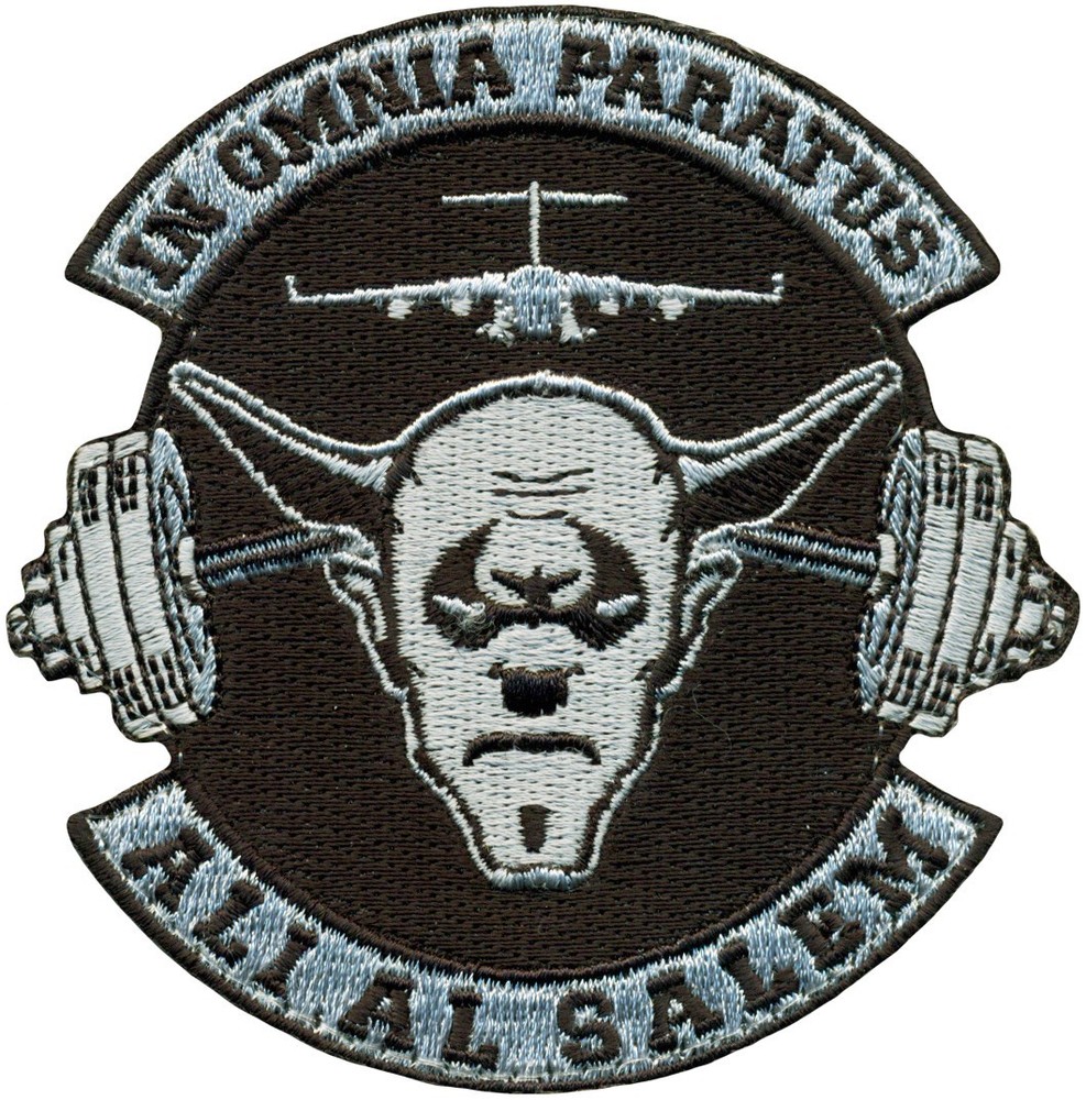 USAF 386th LOGISTICS READINESS SQUADRON  MORALE PATCH