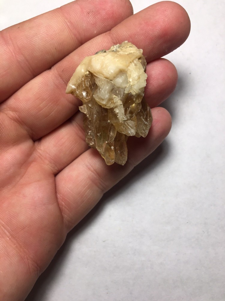 Fossil Clam Shell Calcite Crystals Fluorescent Cluster Rainbow From Rucks Pit FL