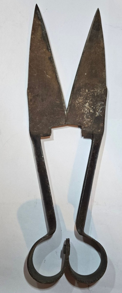 Vintage Rare Sheep Shears, Two piece riveted 13 1/2" Still Functioning and Sharp