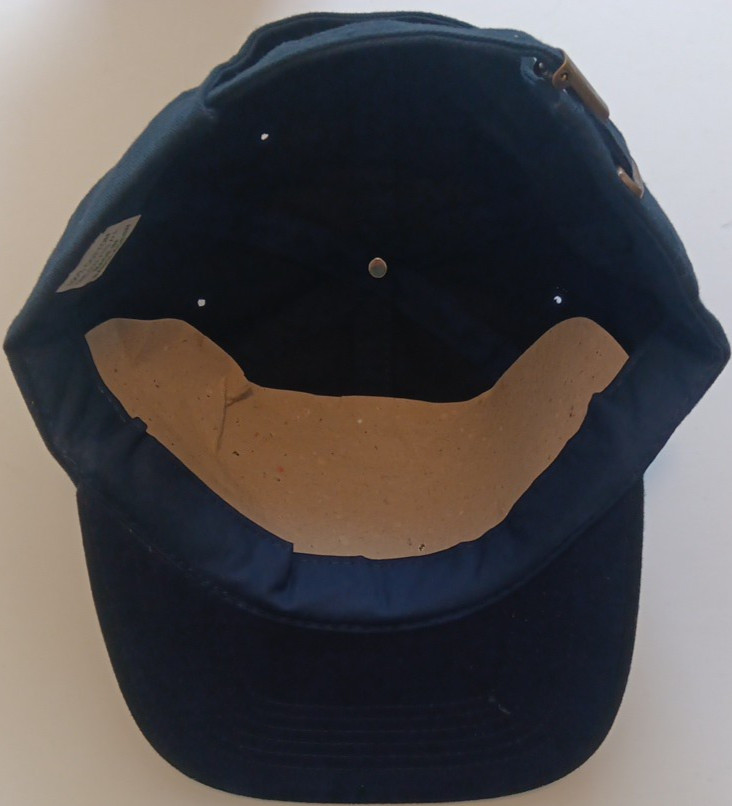 Y2K Corona Extra Iguana Navy Blue Embroidered Strapback Hat