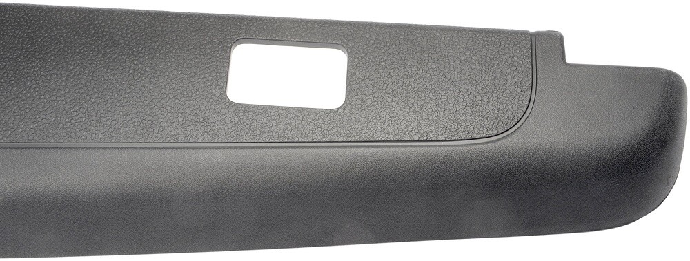 Body Molding Dorman (OE Solutions) 926-914