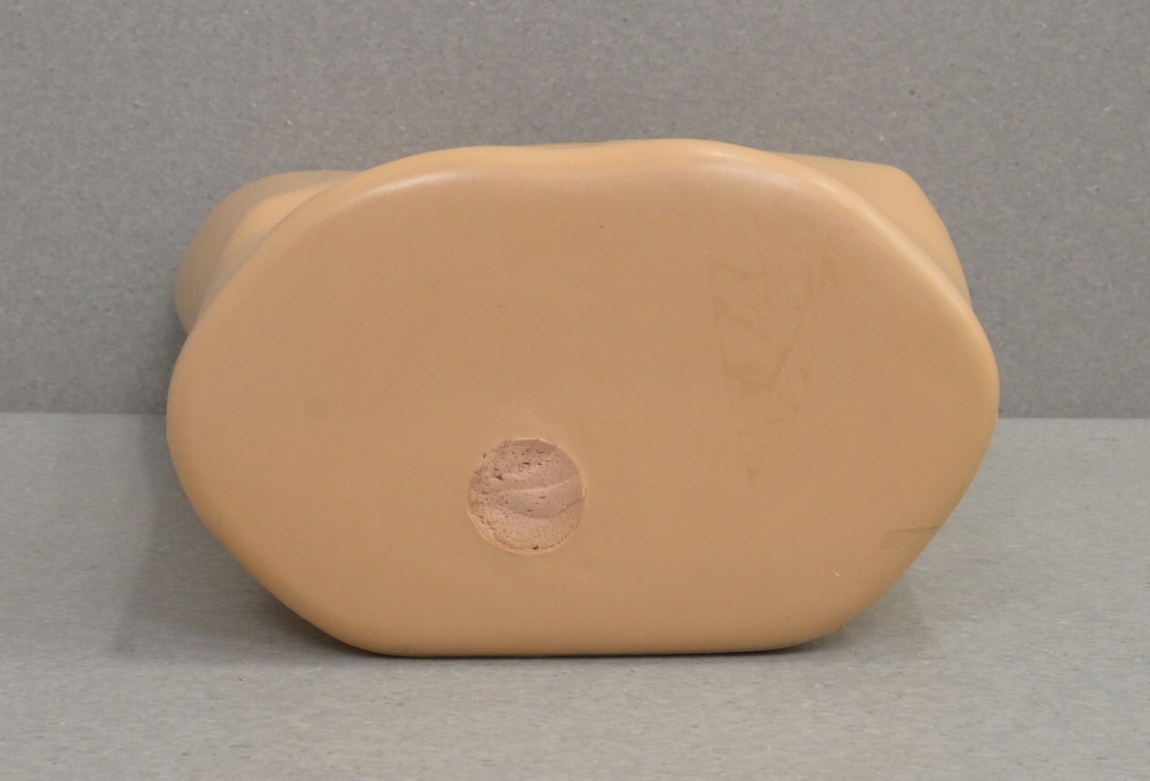 Blue Phantom Imaging Scrotal Training Model