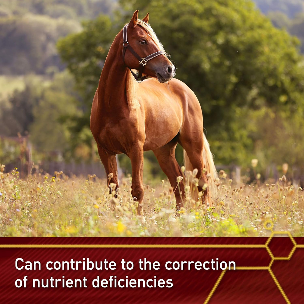 Pro E and Horse Selenium Supplement, Balanced Essential Antioxidants, 4 Pound, 6