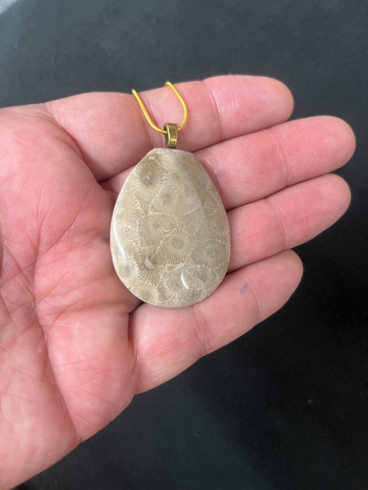 Petoskey Stone Pendant Michigan