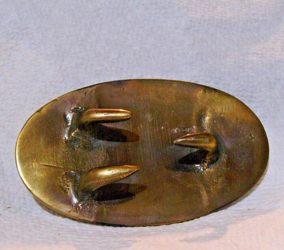 Civil War Belt Buckle Confederate States CS Brass Free Shipping