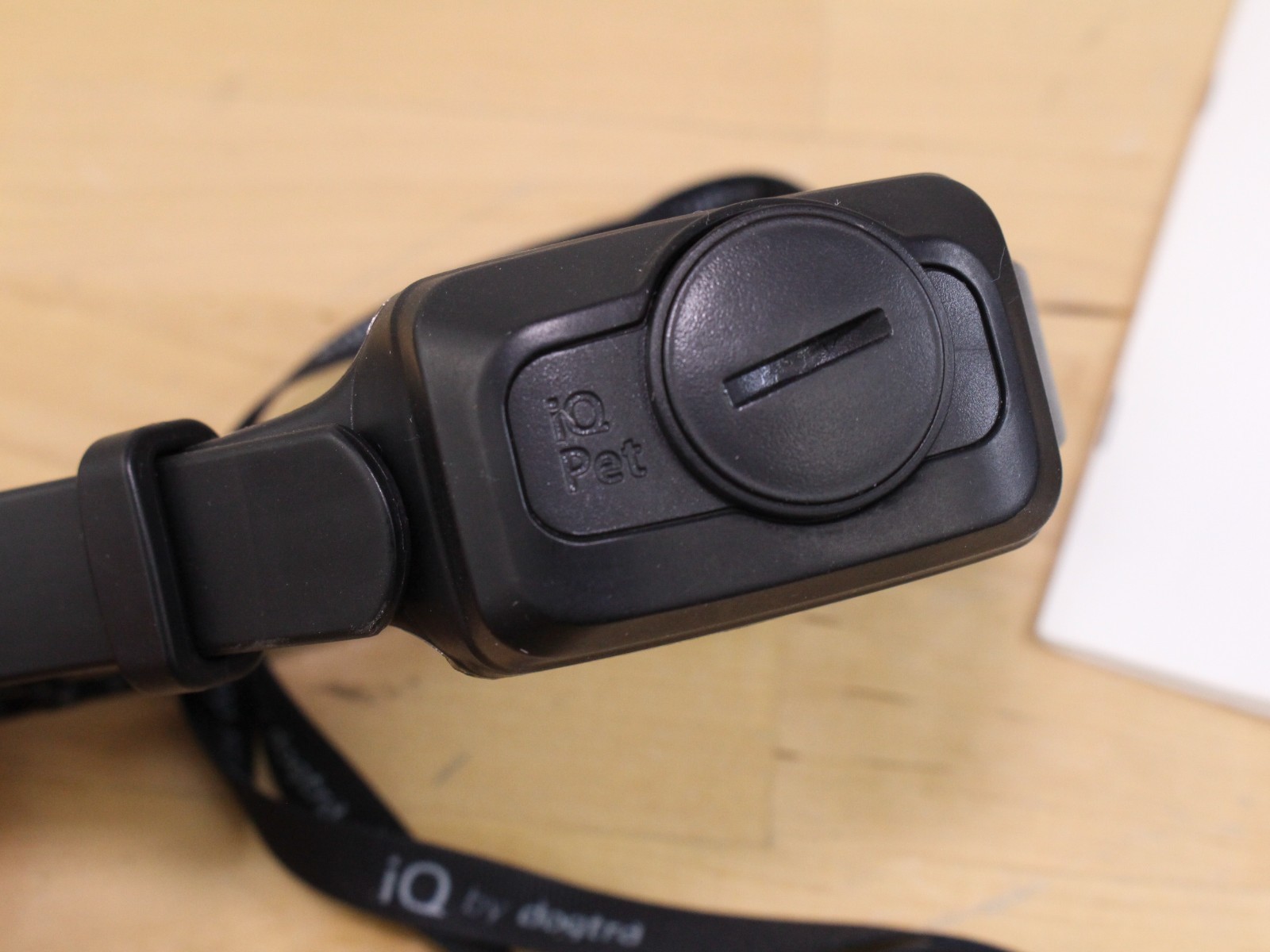 Dogtra IQ CliQ Dog Training Collar with Remote Clicker