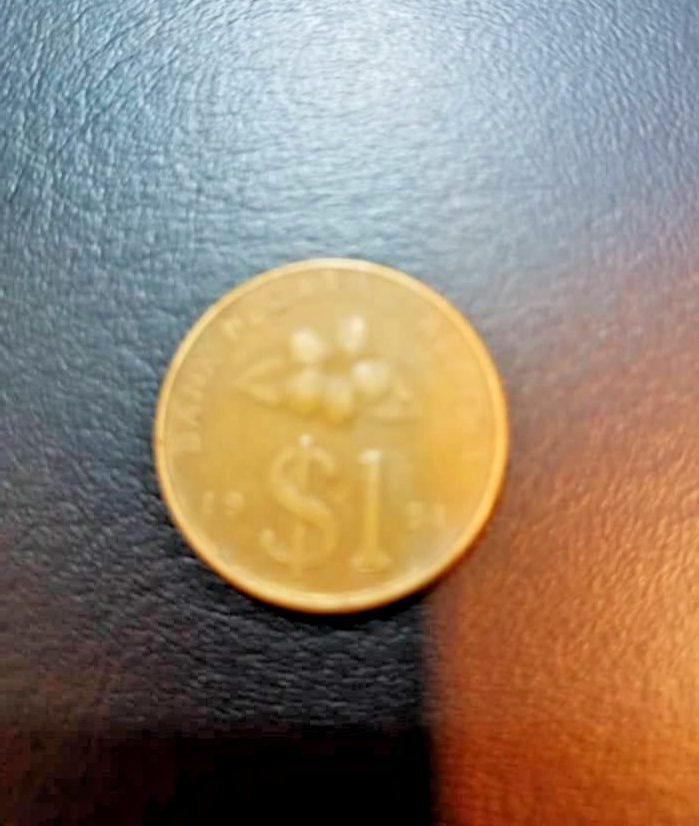 Malaysia One Ringgit 1991 Unc Coin-FREE SHIPPING