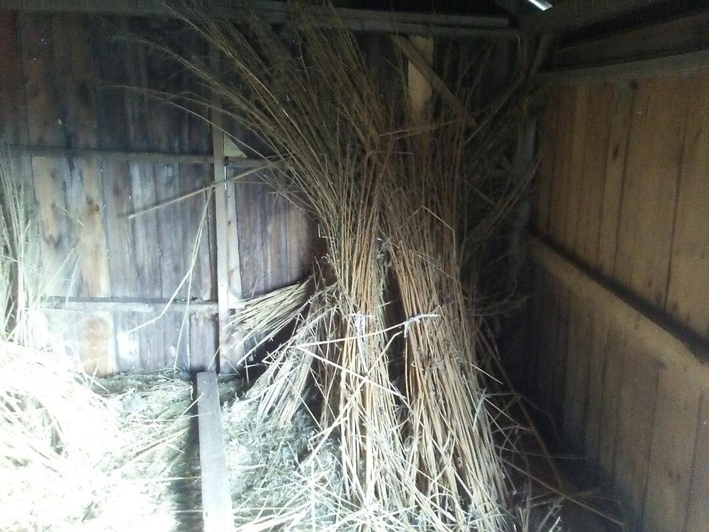 fiber hemp straw