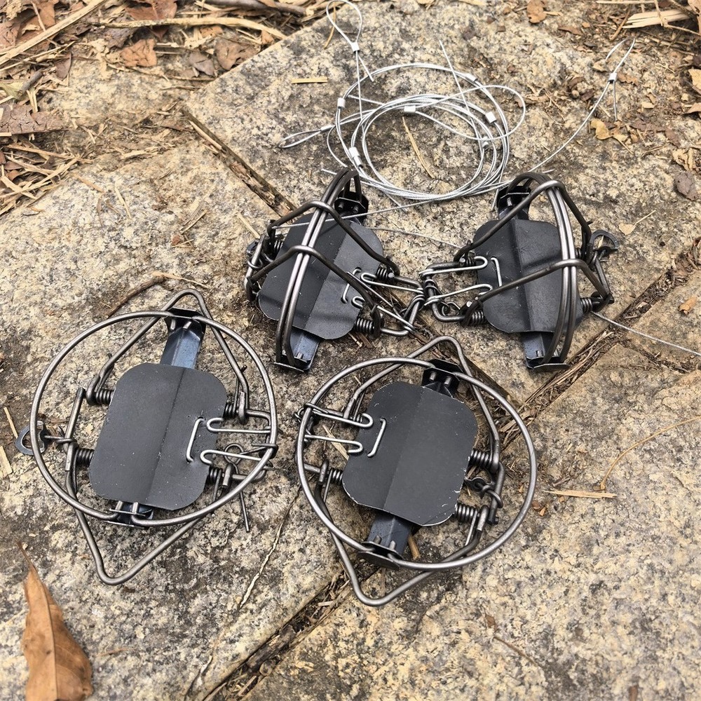 4Pc & 4.33In / 11cm Strong Power Coil Spring Trap Nutria Rabbit