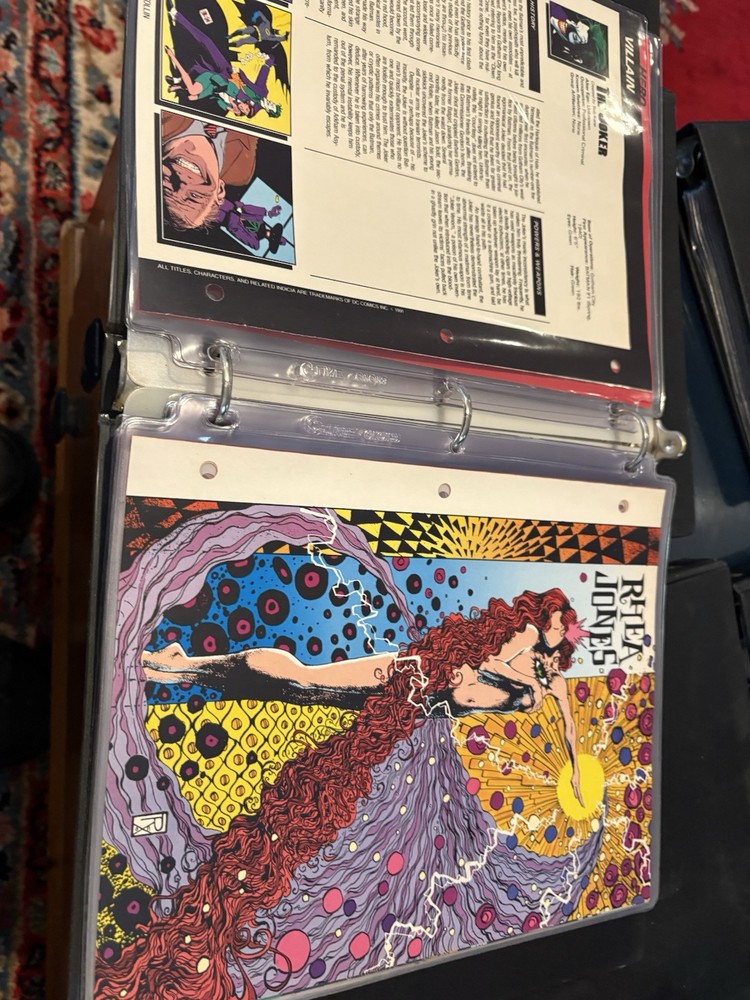 Comic Book Bio Binder