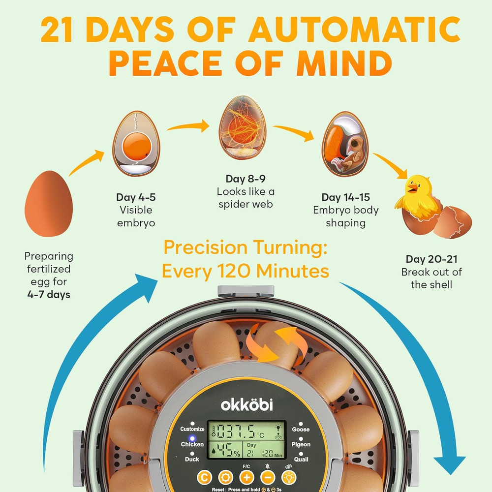 12 Egg Incubator with Automatic Egg Turning and Humidity Control – Temperature A