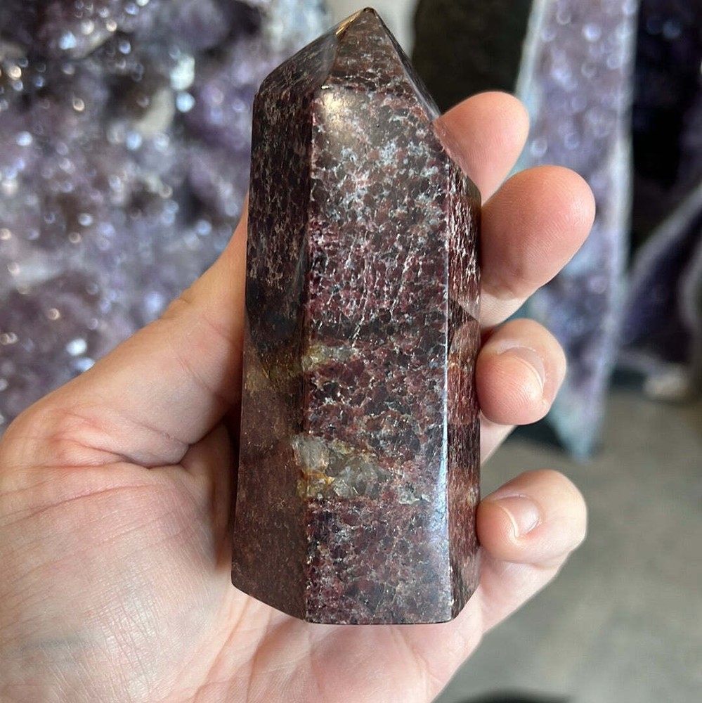 Garnet Tower E