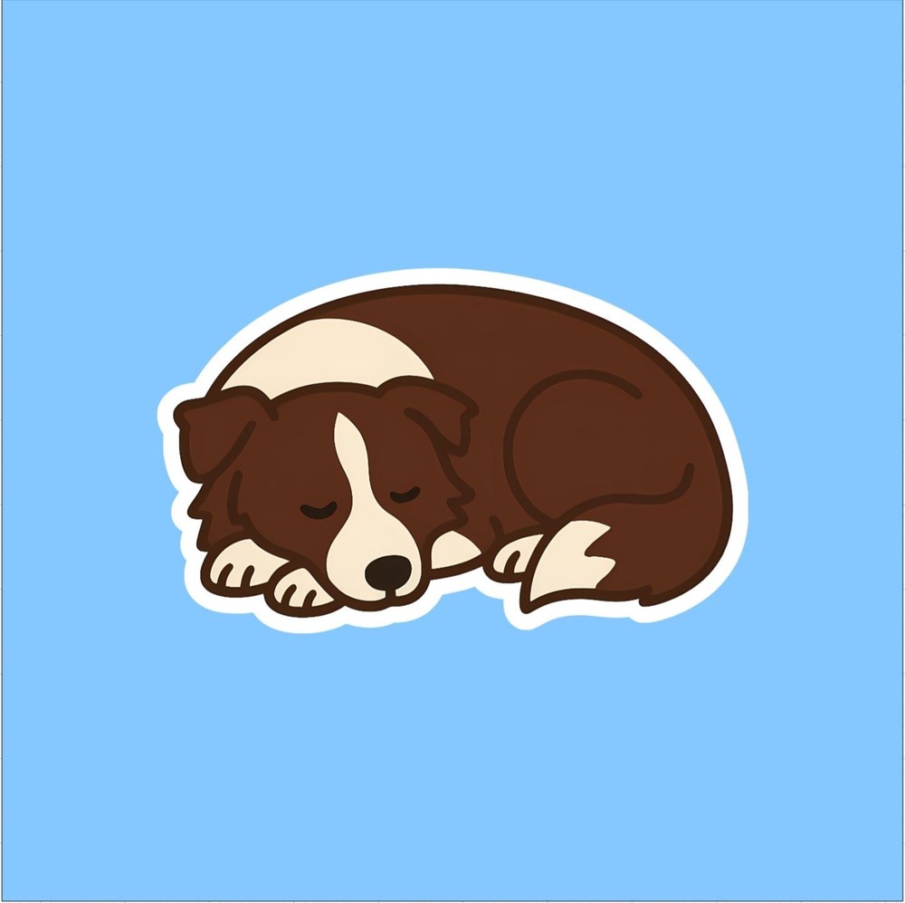 Border Collie (Red/Chocolate) Sleeping Sticker