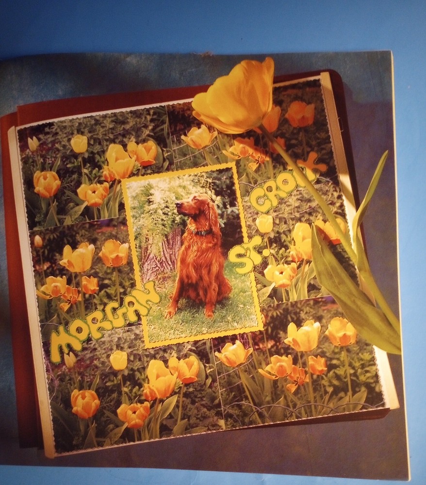 "Great Scrapbooks Ideas Tips & Techniques" Paperback Craft Book