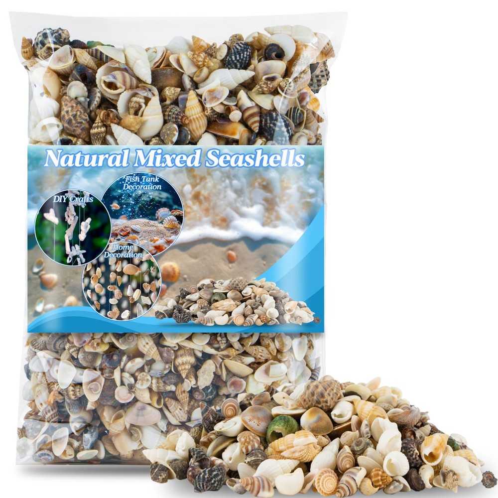 314-Grams Tiny Seashells for Crafts Small Mixed Ocean Beach Shells Bulk
