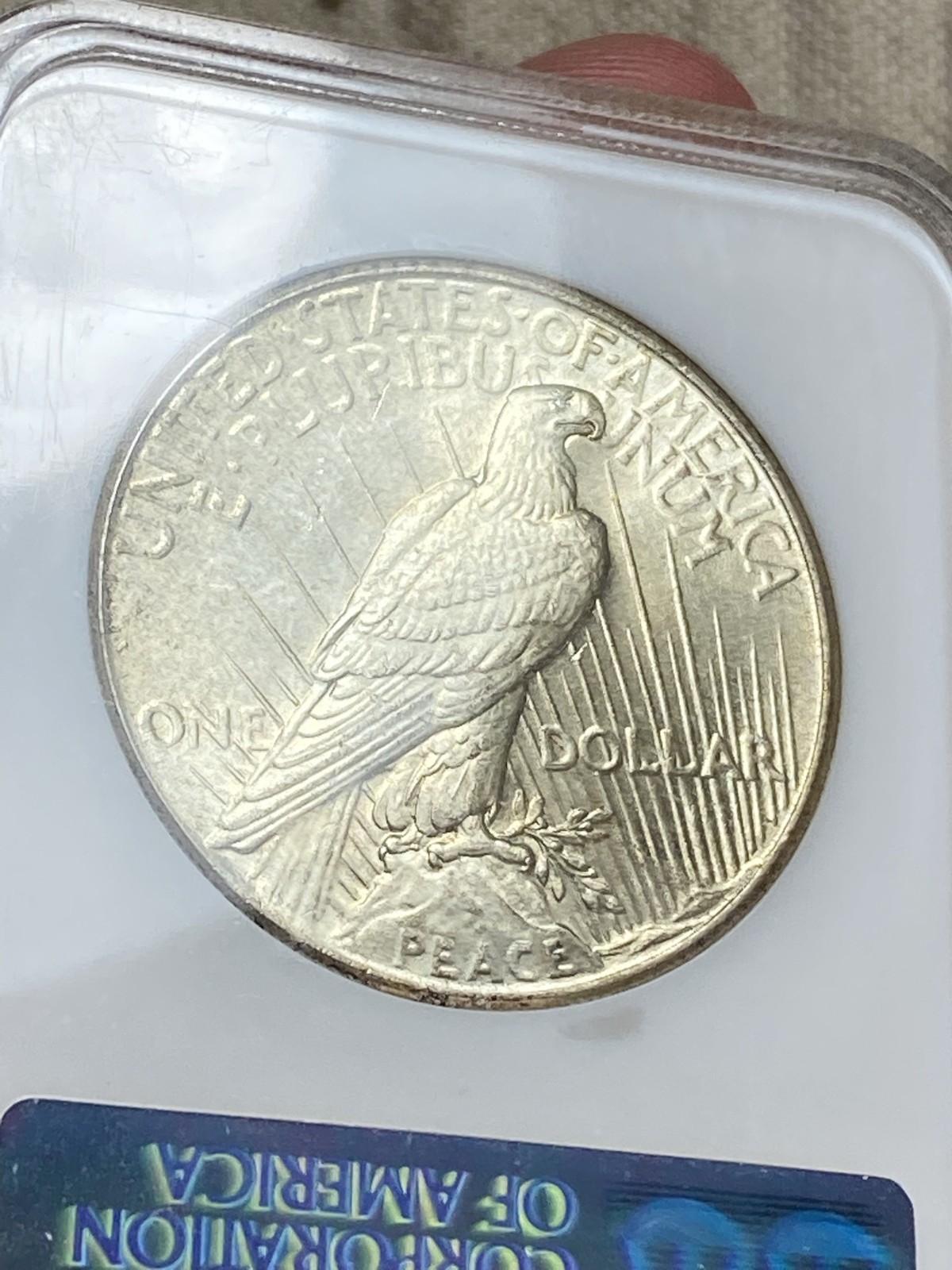 1925 Peace Dollar NGC MS 64 CAC No Barcode Fatty Nearly Full Holo Sticker