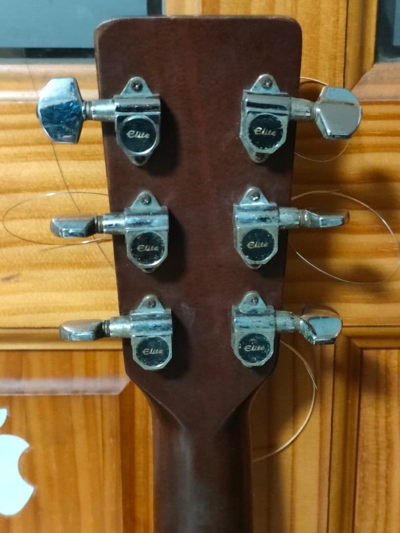 Takamine Elite TW-25 Vintage 1970s Acoustic Guitar Japan