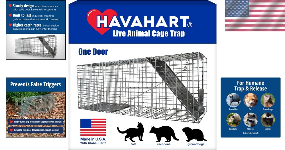 Professional-Style Raccoon Trap - Safe & Effective Live Trap