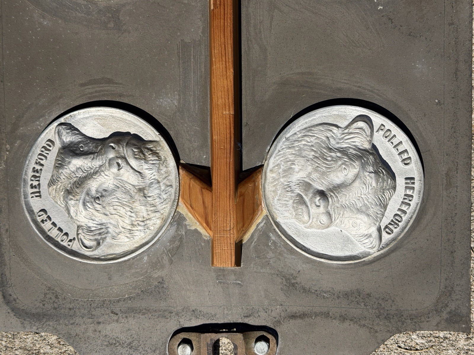 Vintage Industrial Aluminum Foundry Mold Pattern Polled Hereford Cows Sculpture