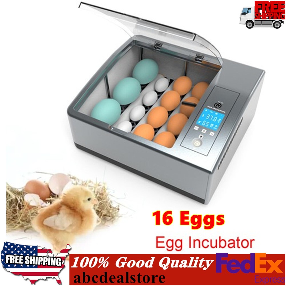 16 Eggs Egg Incubator for Hatching Egg Full Automatic Turning Duck Chicken Egg