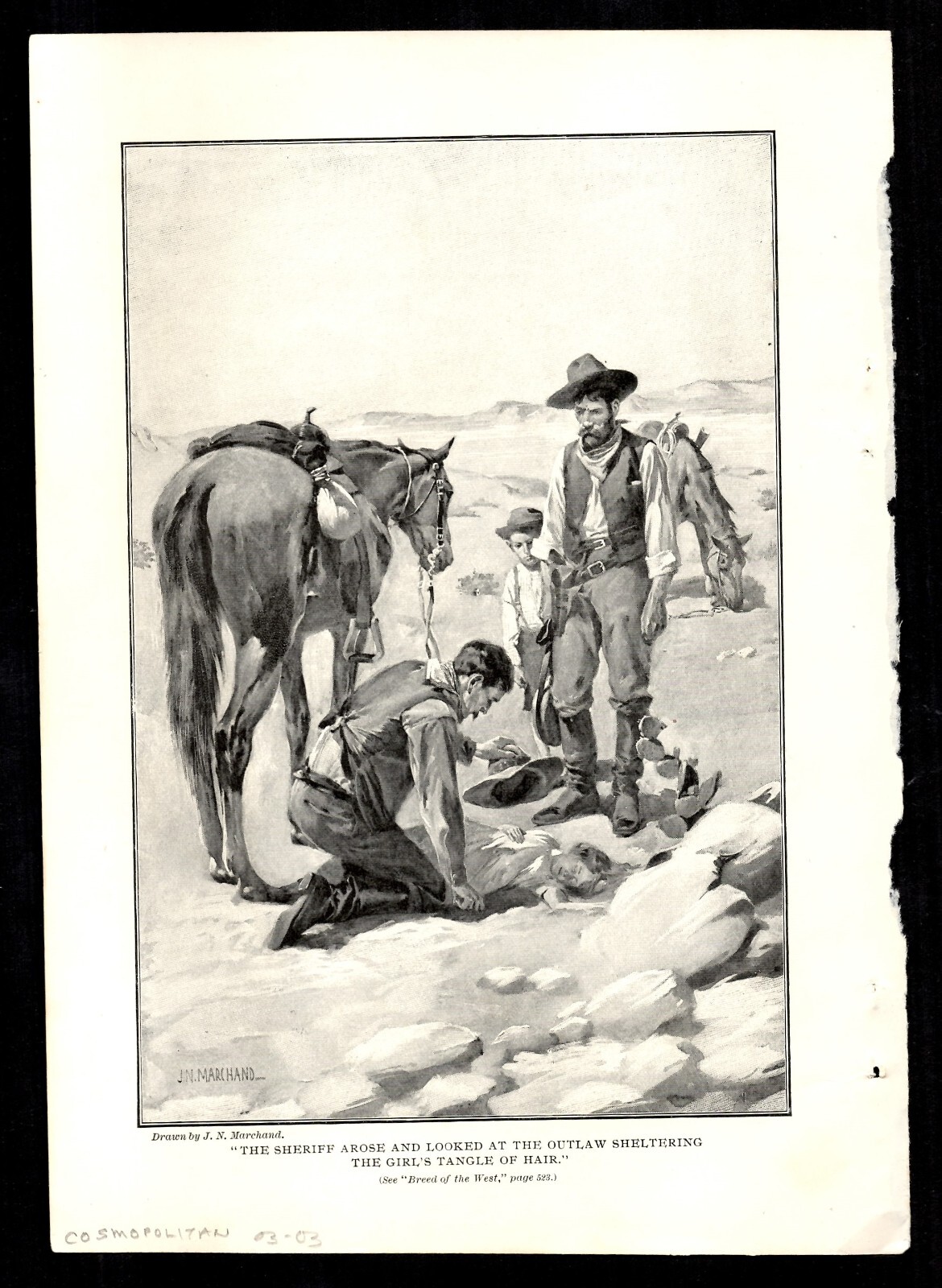Illustration J. N. Marchand Cowboy 1903 - 1