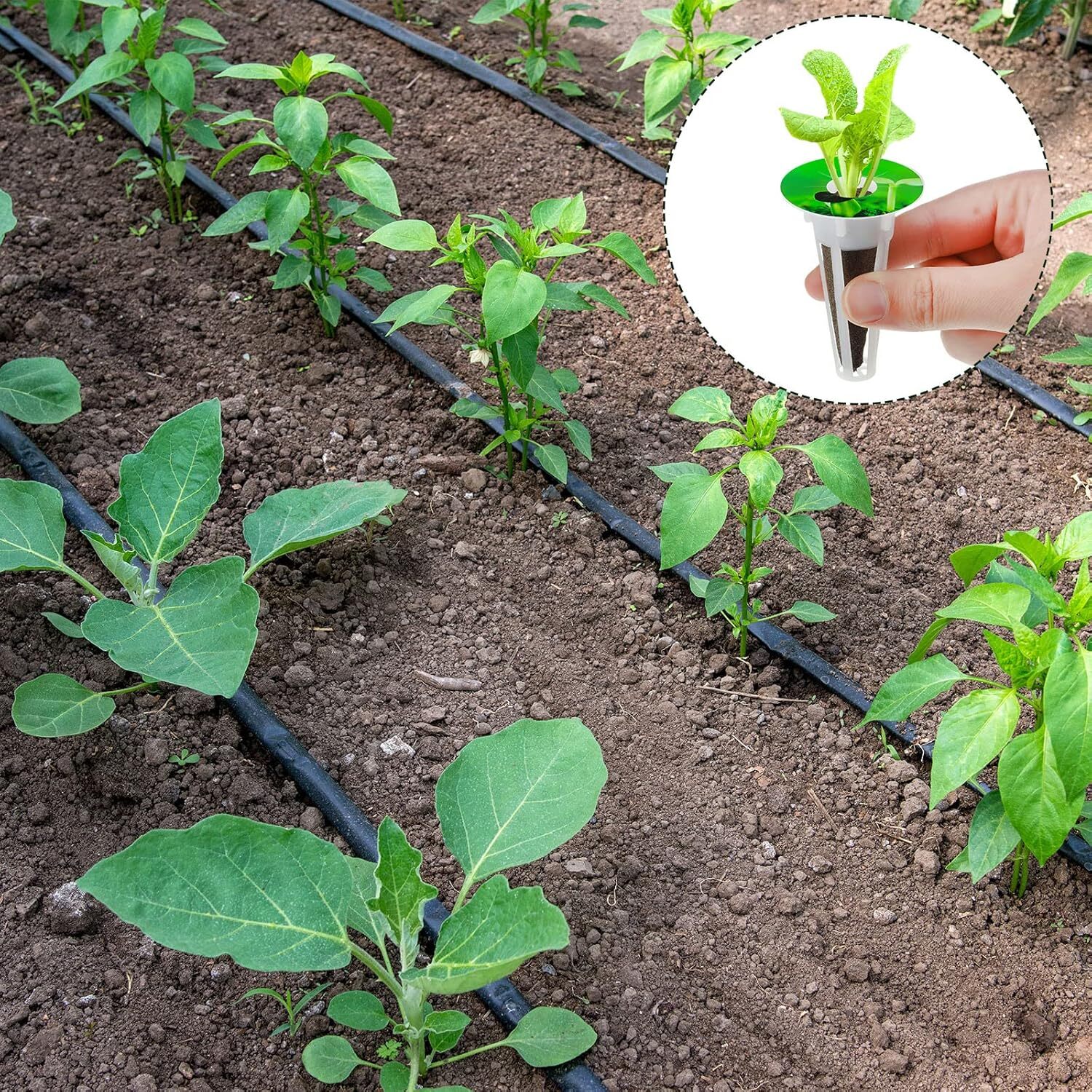 121pcs Hydroponic Pods Kit, Seed Pods Kit for Aerogarden,Grow Anything Kit