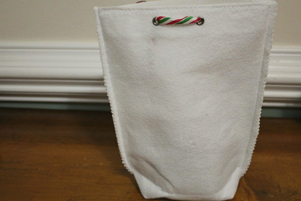 Elf on a Shelf Quarantine Bag
