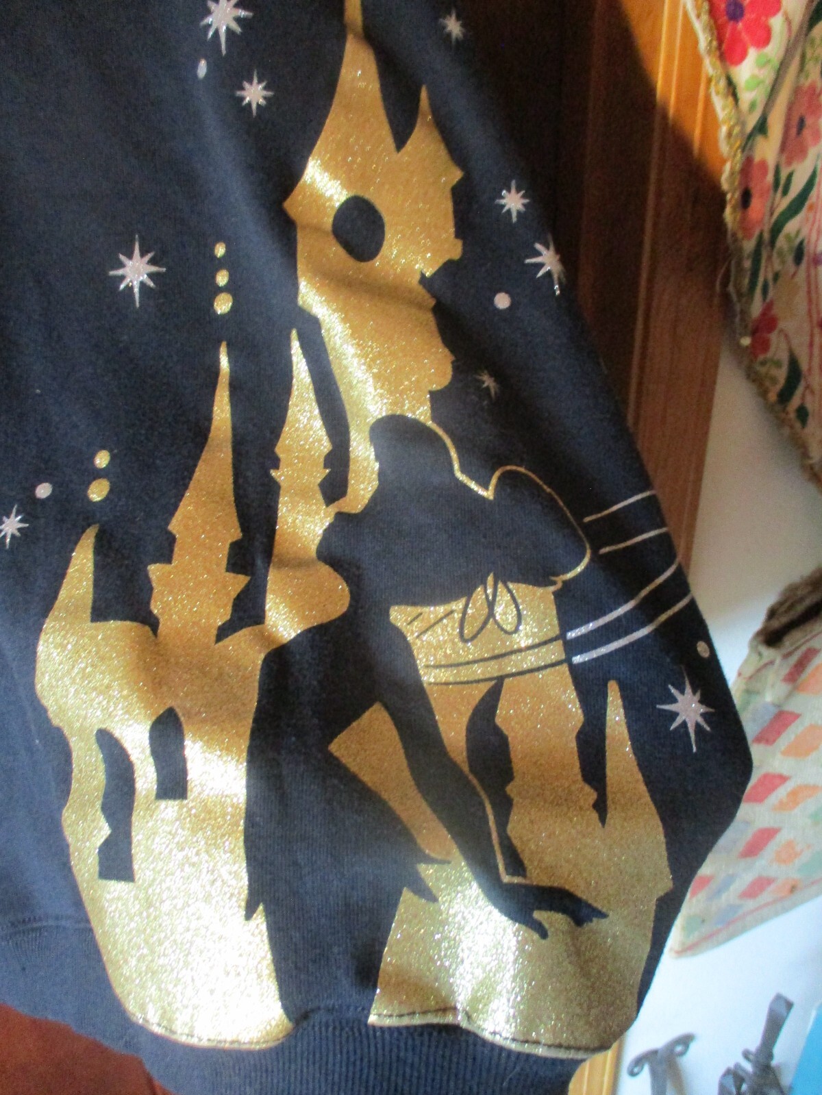 DISNEYLAND PARIS 30 YEARS TINKERBELL FULL ZIP HOODIE