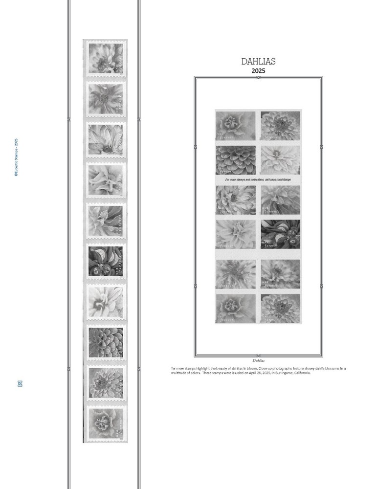 2025 U.S. Regular Issue Plate Block Supplement (White Ace Alternative)