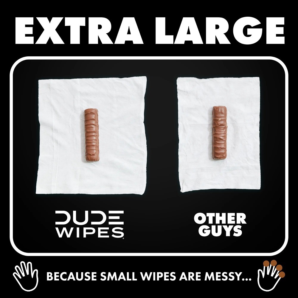 DUDE deodorizing wipes, flushable, XL extra-large wipes, 48 ​​wipes per pack