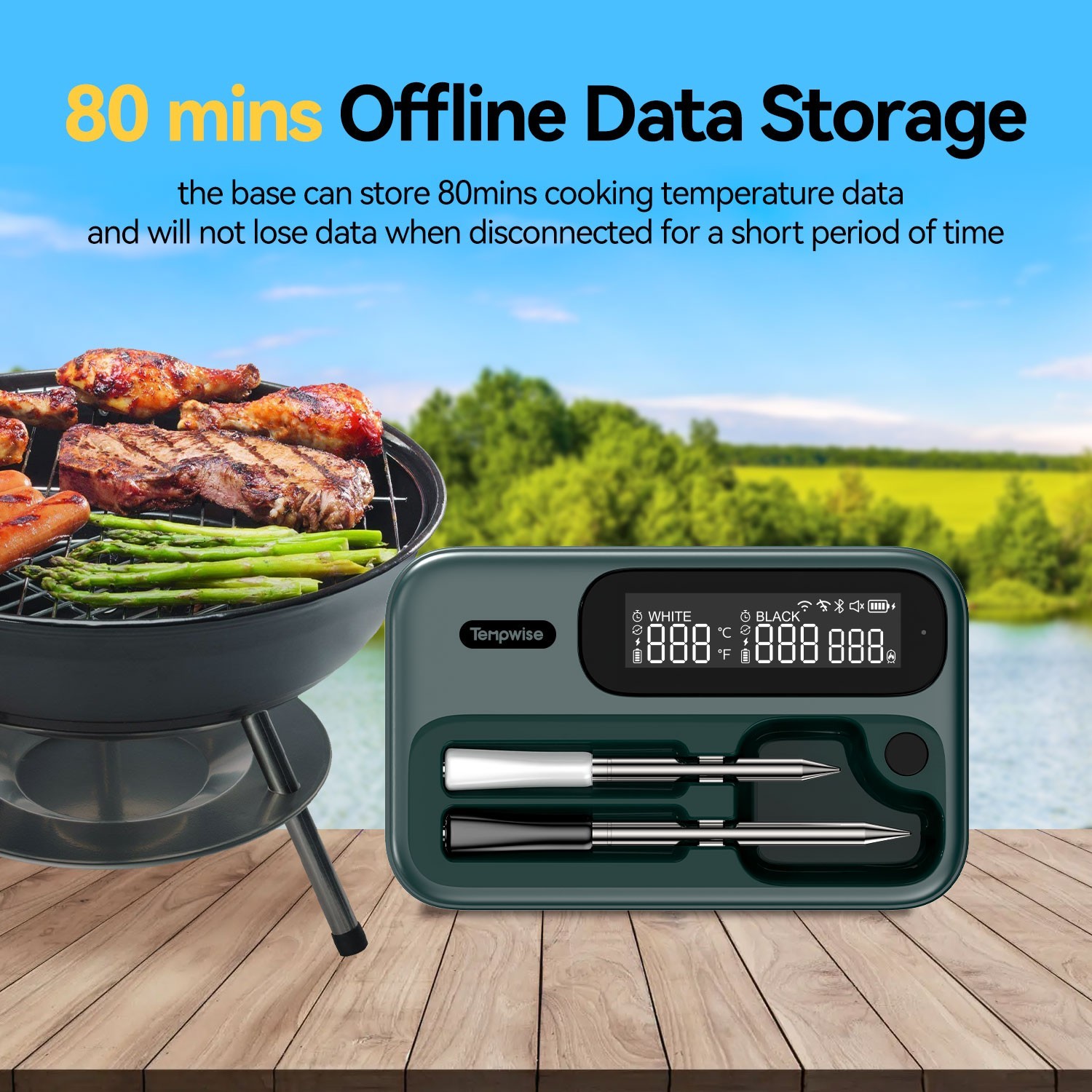 Wiresless BBQ Thermometer Meat Cooking Outdoor Dual Probes Bluetooth WiFi Combo
