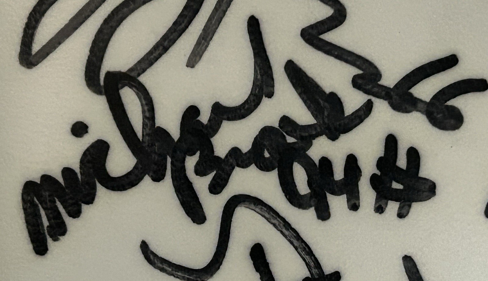 Authentic 1995 New York Giants Team Signed Football 25+ Autographs Walker Sehorn