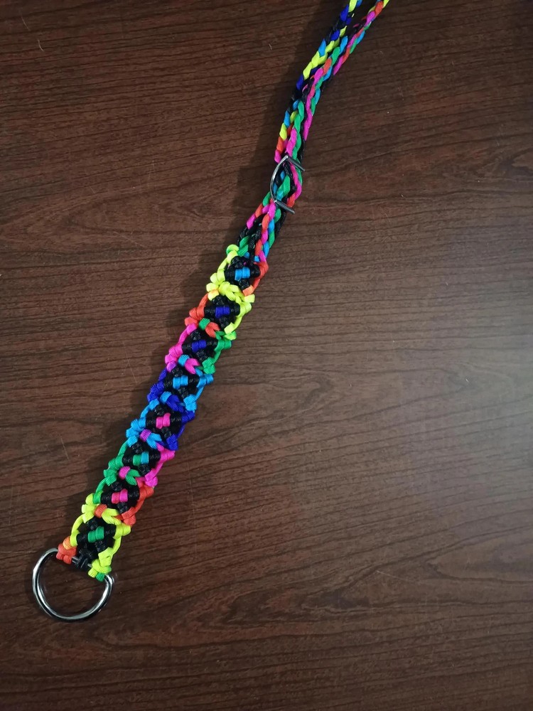 Rainbow Rein Keeper NEW