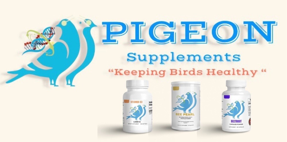 Bee Pearl Supplements