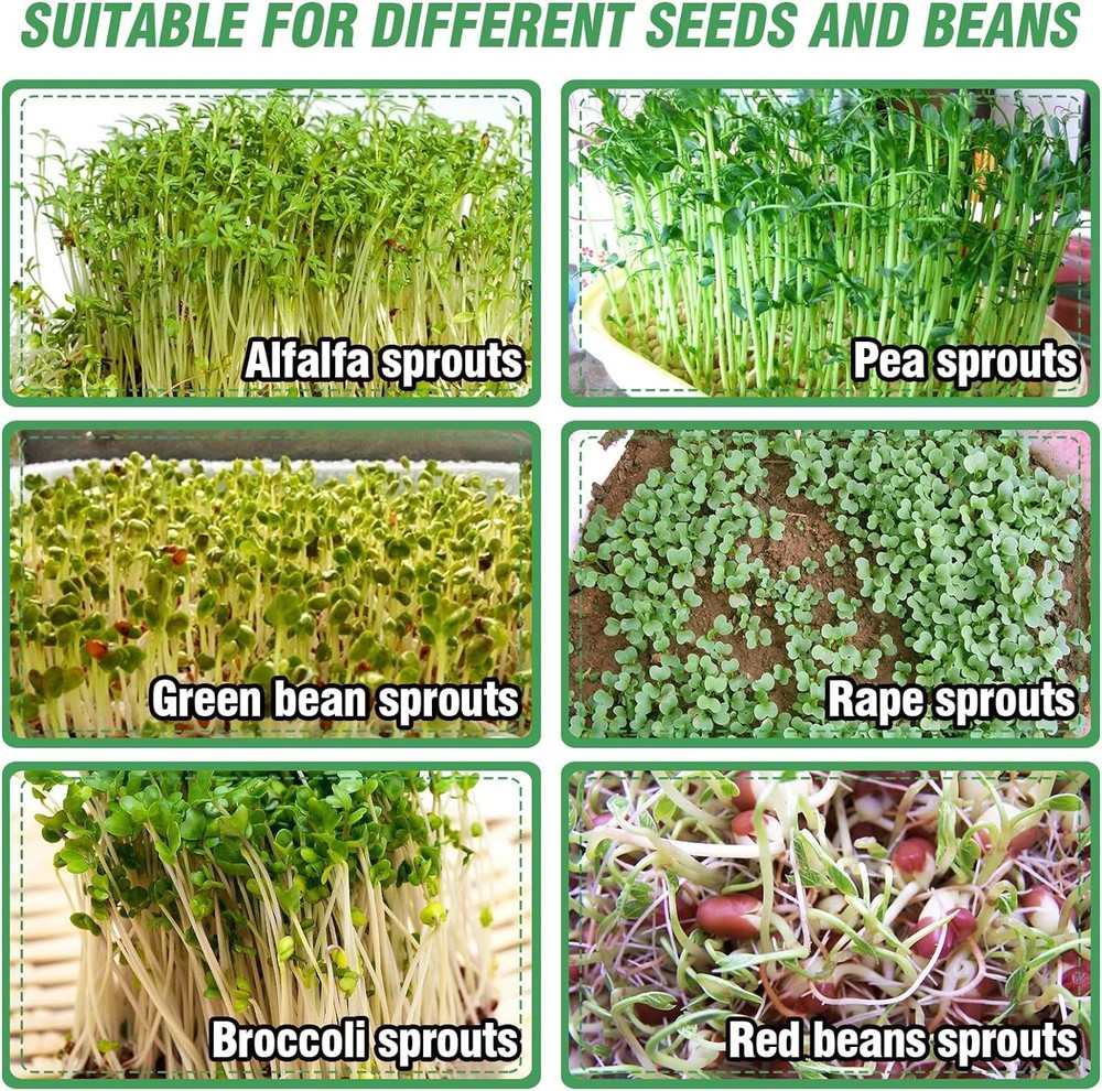Stainless Steel 4 Tier Seed Sprouting Kit 6" Stackable Microgreens Tray