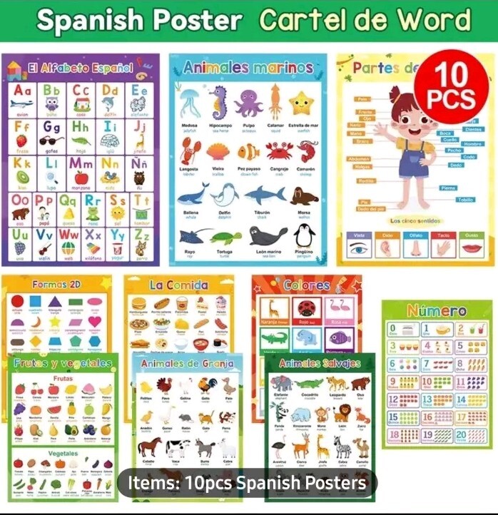 10 Theme Laminated Spanish Words Learning Chart Cards Classroom Teaching Aids