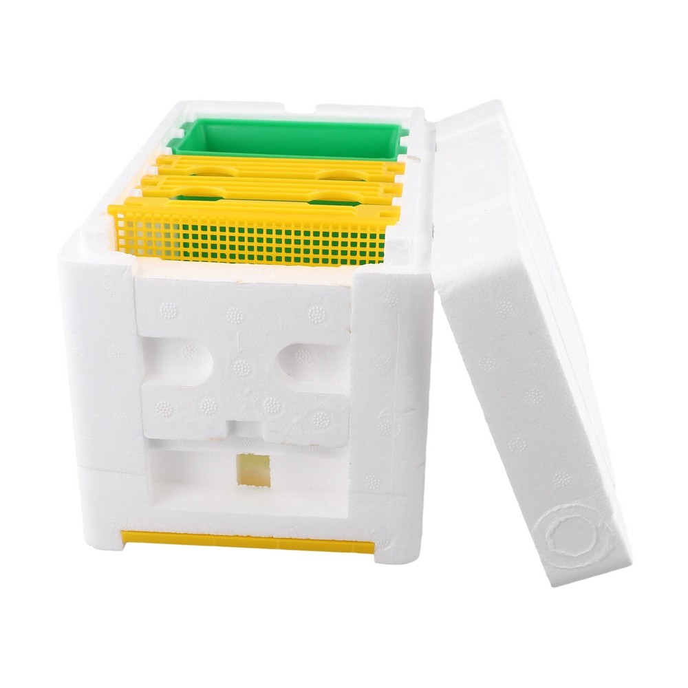 Queen Bee Mating Box Mini-Nucleus Hive Breeding Harvesting Beekeeping-Tools New