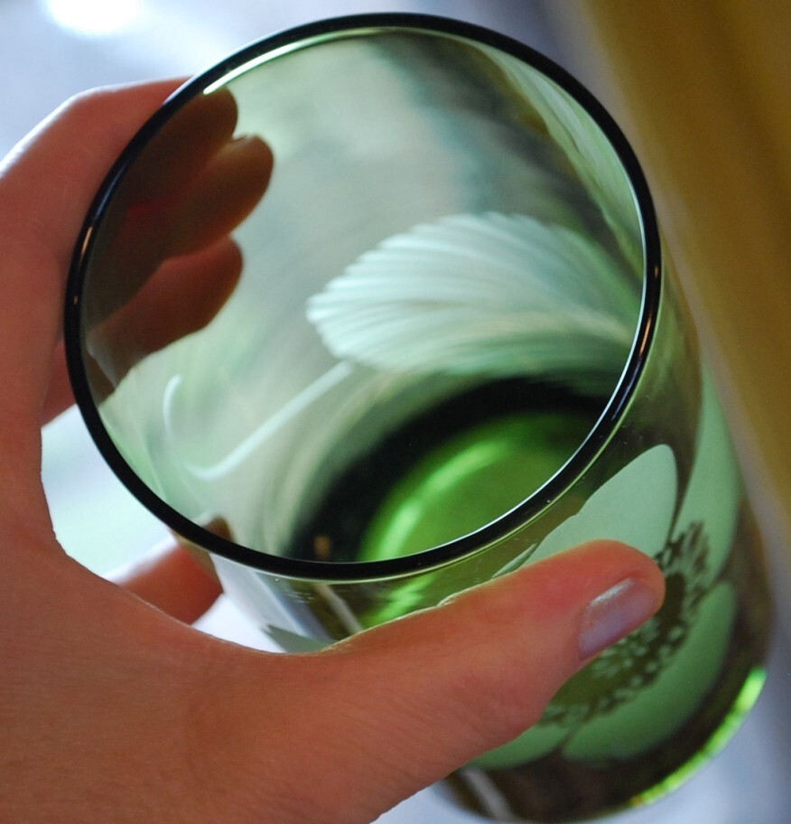Vtg Set 8 PIER 1 Tumbler Glasses ETCHED FLOWER Hand Blown 6" Multicolor 20 Ounce