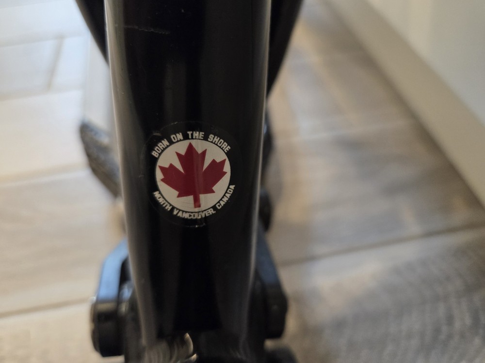 Vintage Banshee Rune Frame 16.5" Seattube