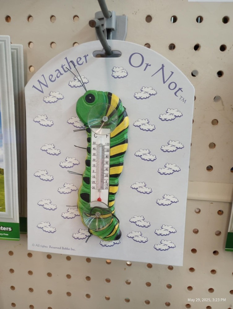 Caterpillar   Small window thermometer