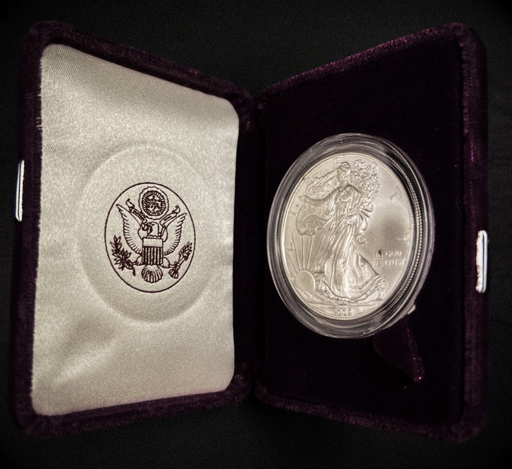 2009 $1 Silver Eagle Beautiful Toning with case🔥