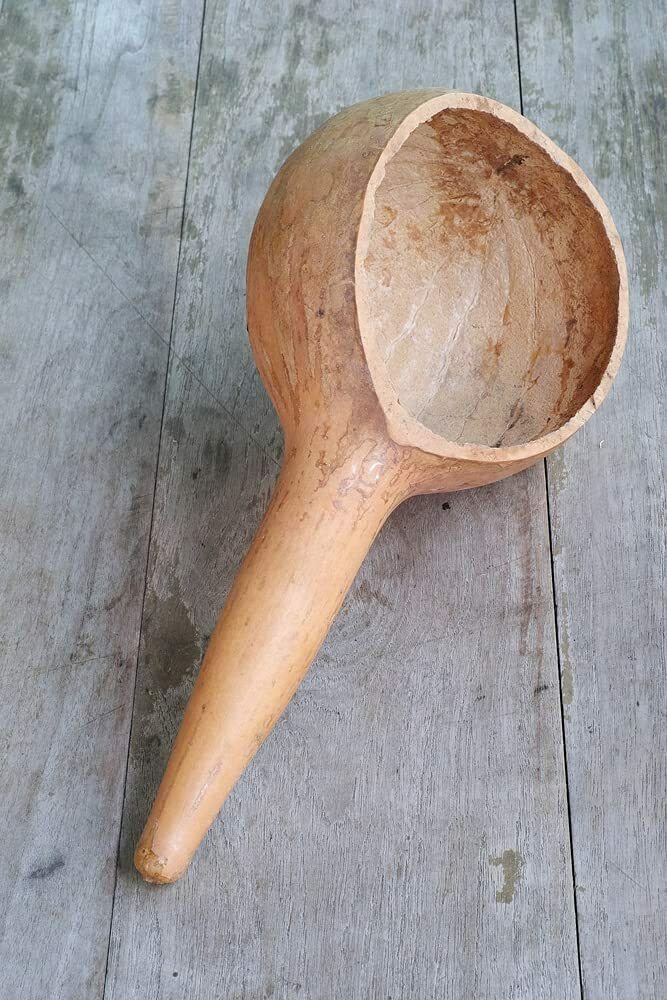 10 Dipper Gourd Seeds