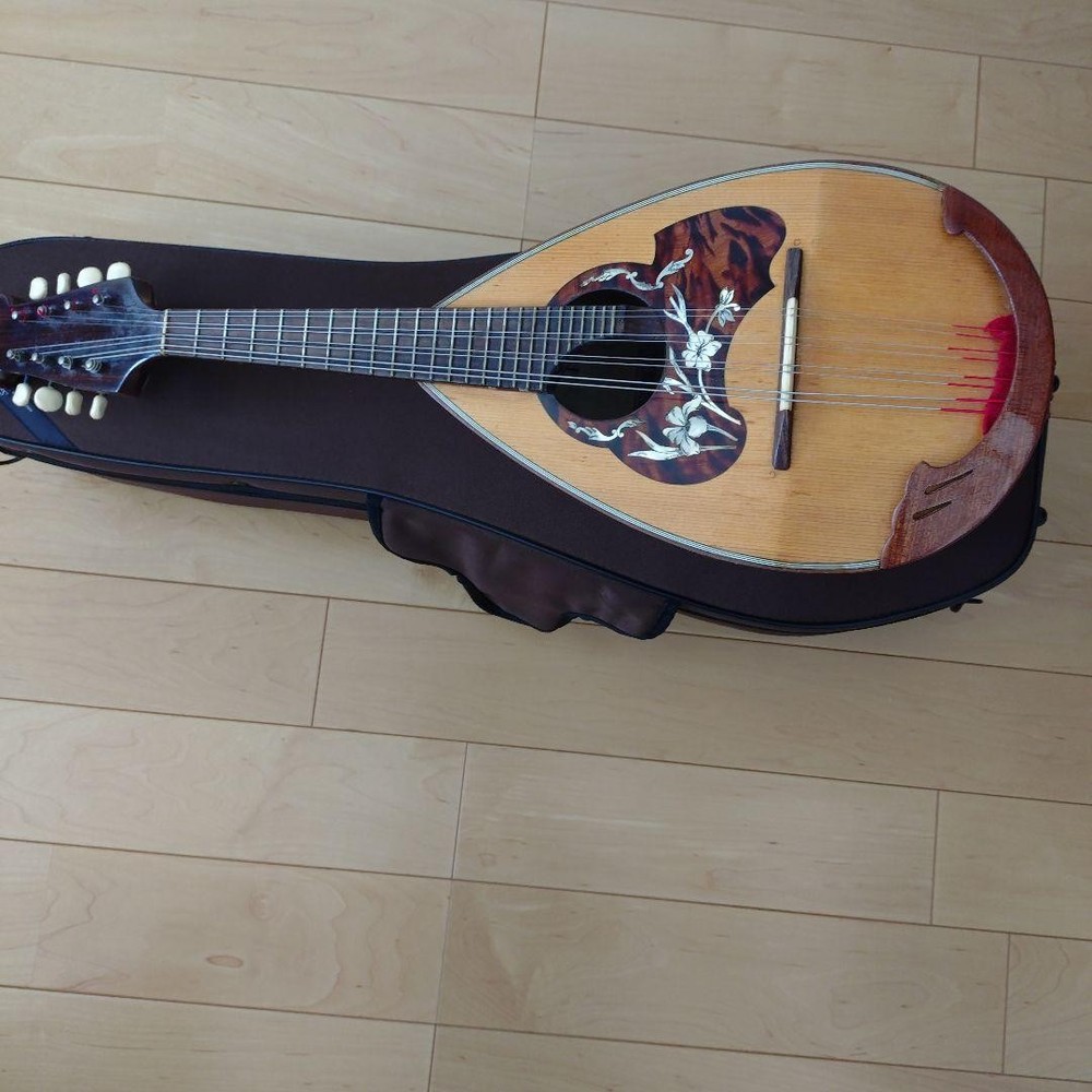 Colored Chemandolin 8 strings