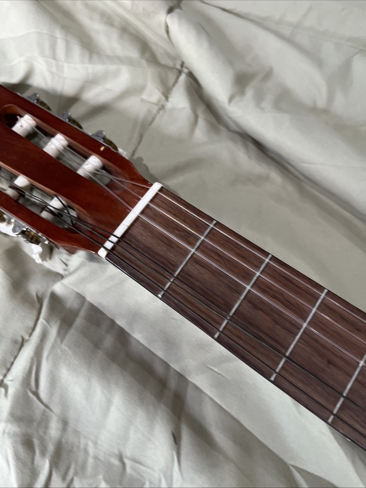 ariana guitar 570