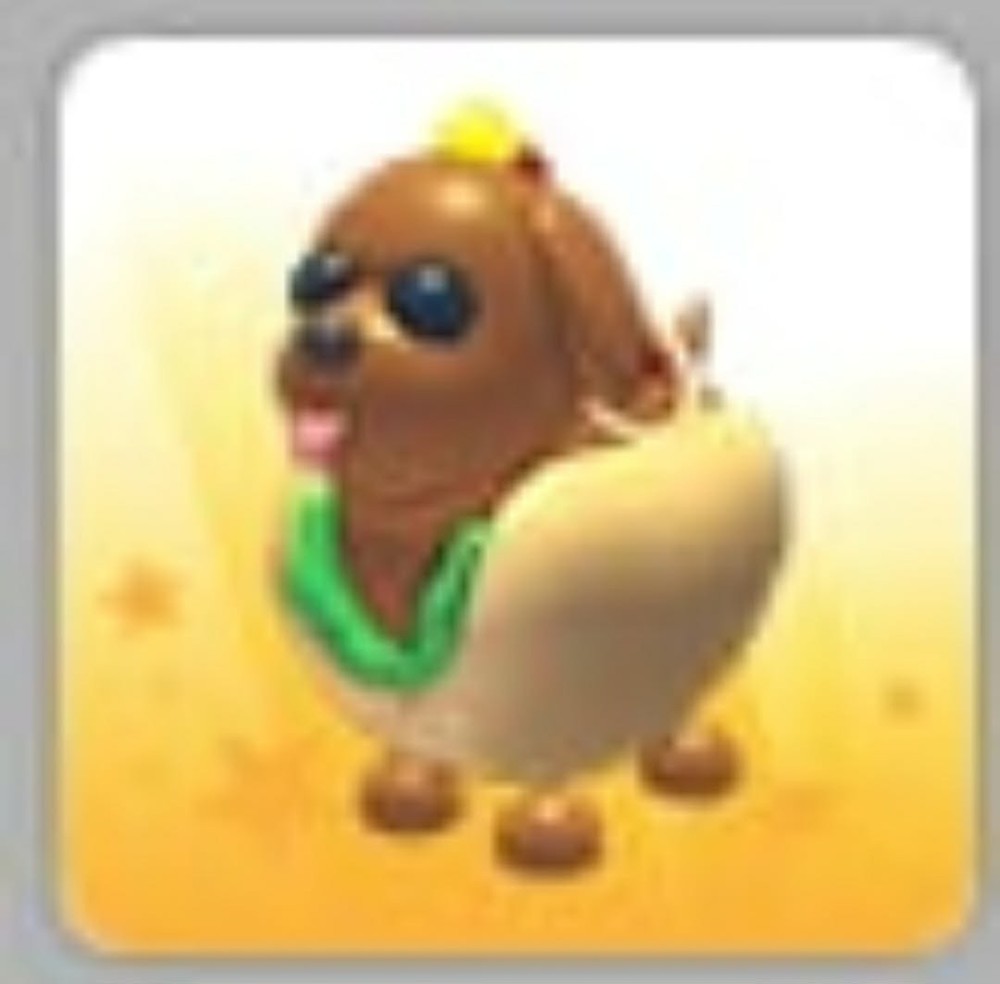 Hot Doggo | Adopt Now